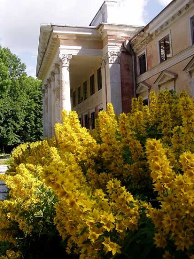 photo_3.jpg