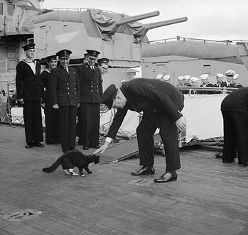 blackie_and_churchill.jpg