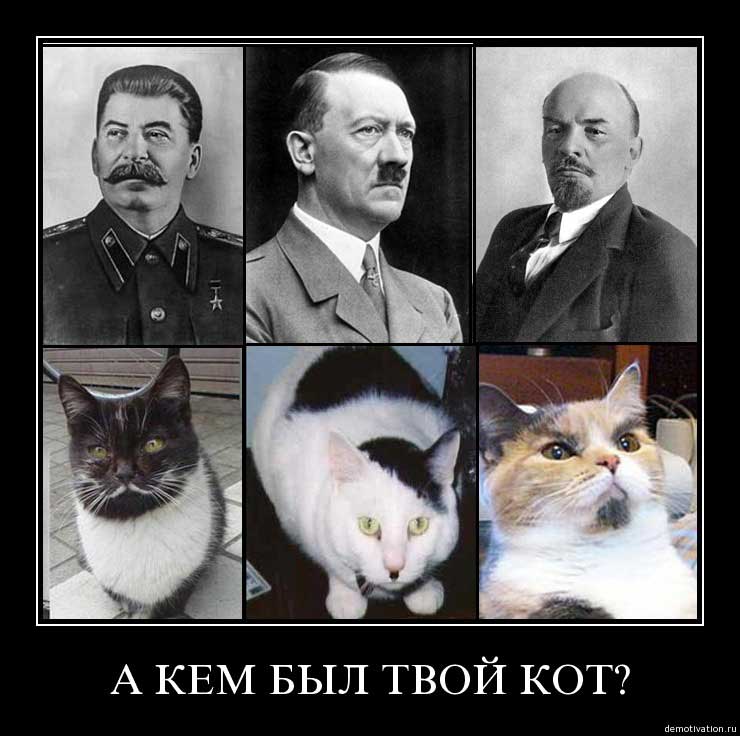 vuknpebbqmgm.jpg