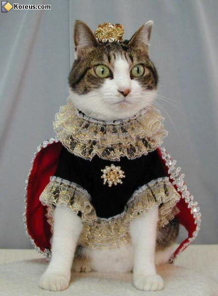4image-chat13.jpg