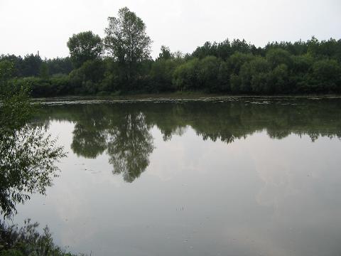 IMG_0041.jpg