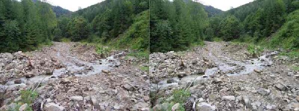 P8255381 копия.jpg