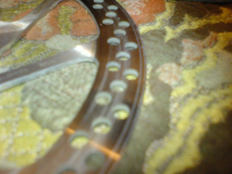 DSC04979.JPG