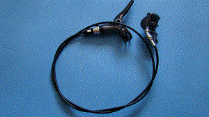 DSC047163.gif