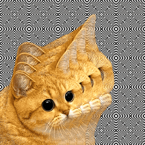 tumblr_lexmwa1Dea1qapjp8o1_500.gif