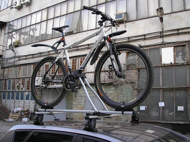 Peruzzo Roma Alu 1.JPG