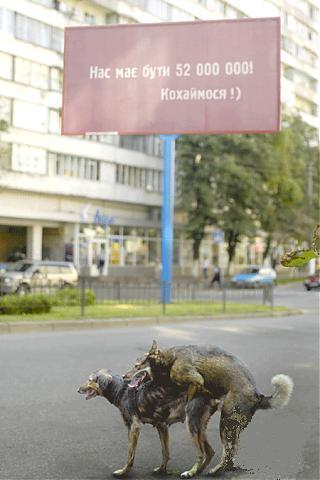 собак521.JPG
