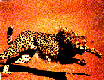 GEPARD.gif