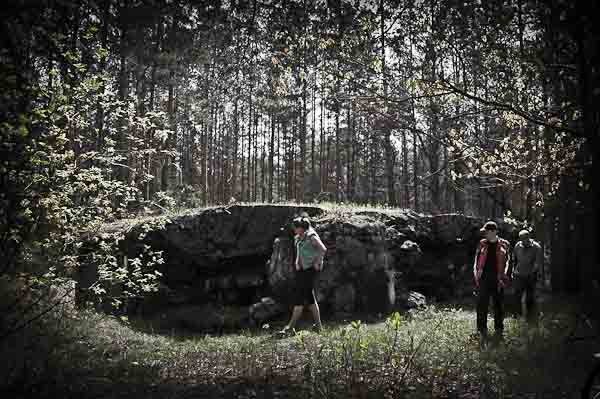 _DSC9009.jpg