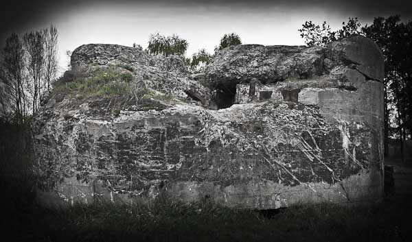 _DSC9115.jpg