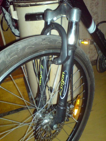 DSC01374.jpg