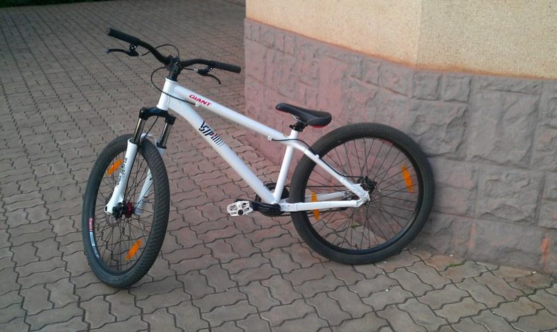 IMAG0355.jpg