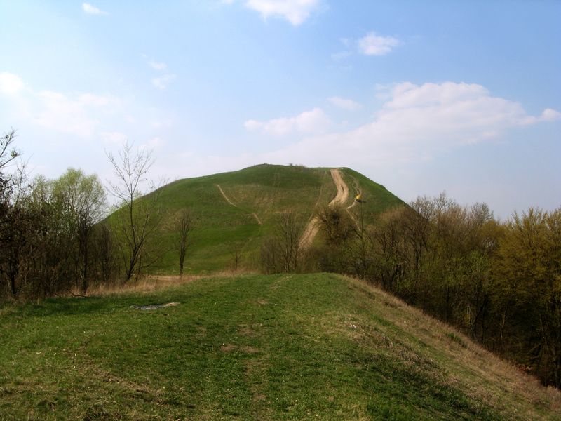 IMG_4975.jpg