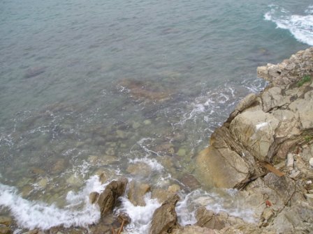 P1010163.JPG