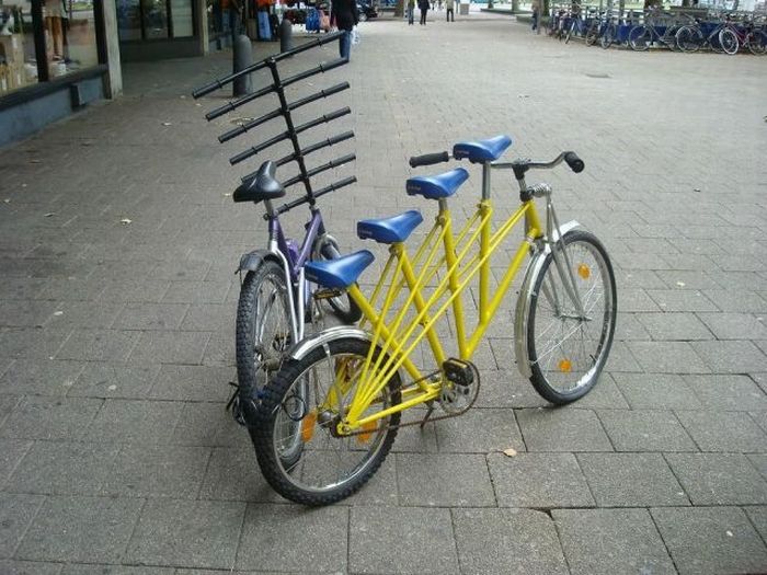 podborl6.jpg