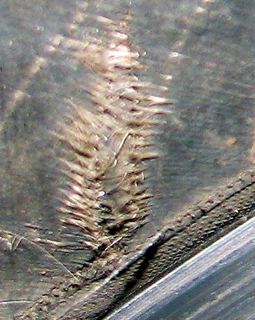 porez IMG_5881.jpg
