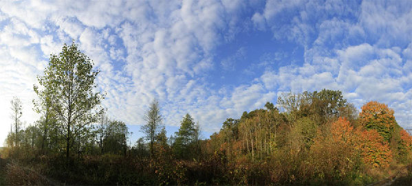 _MG_8303s copy.jpg
