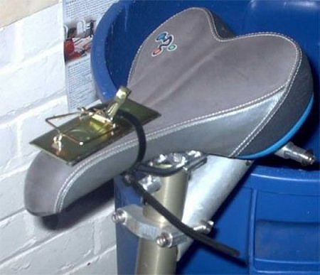 x_580d4cd8.jpg