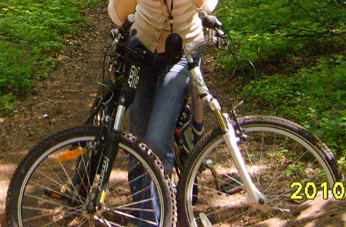 S6002699.jpg