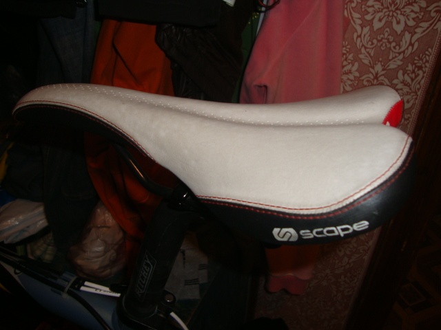 DSC06570.JPG