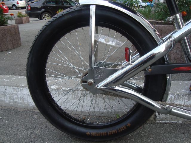 DSC08599.JPG