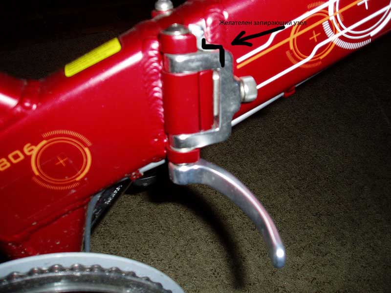 P1010072.jpg