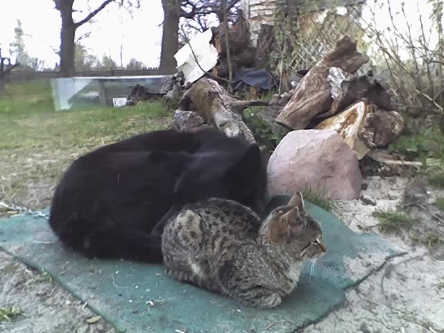 04-24-09_1340.jpg