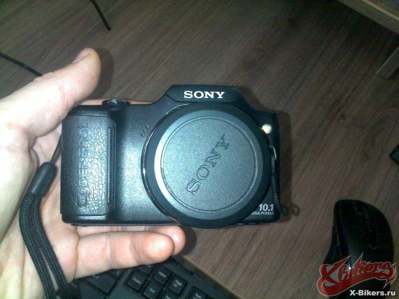 41010_1.jpg