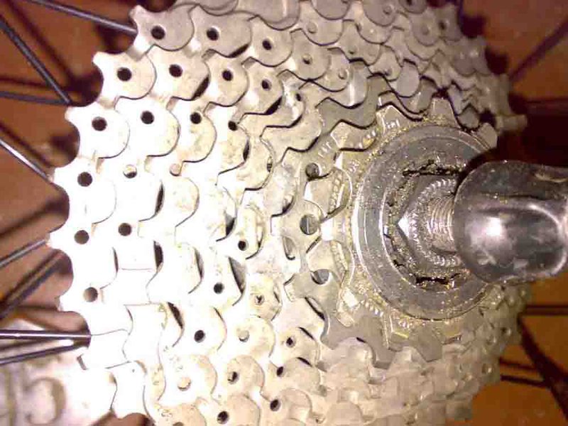 02092011441.jpg