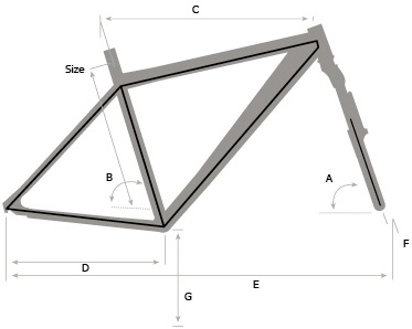 geo.jpg