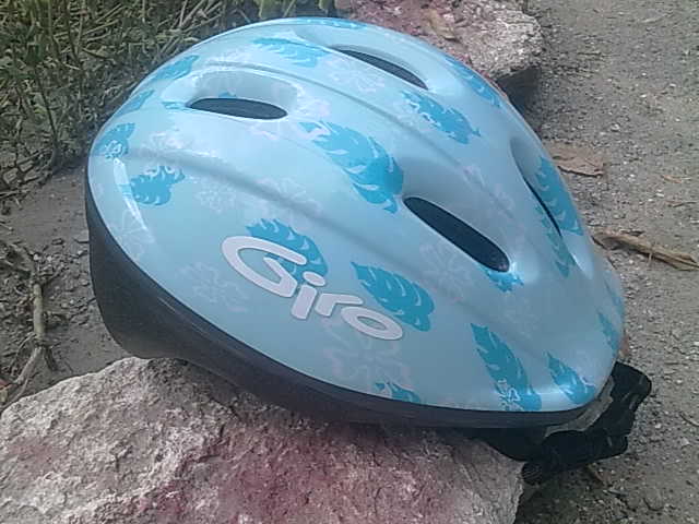 08092011686.jpg