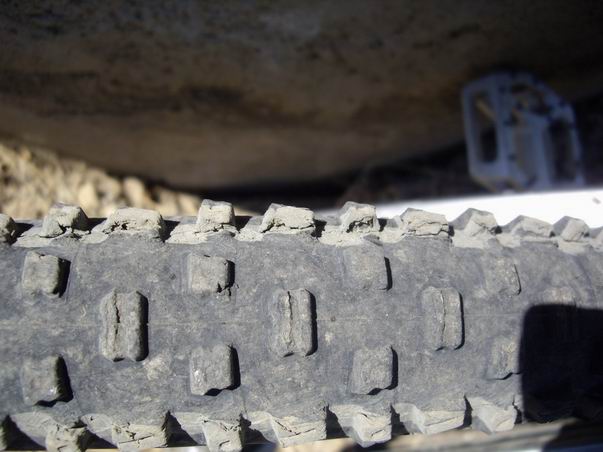 Schwalbe1.jpg
