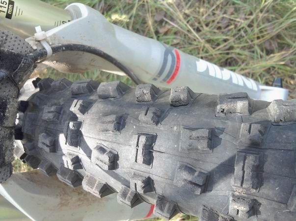 Schwalbe2.jpg