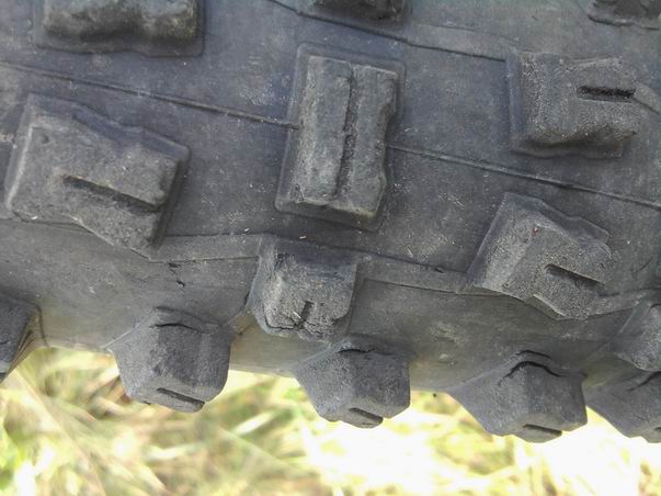 Schwalbe3.jpg