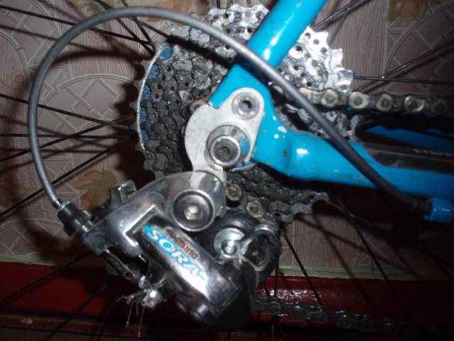 P1010012.JPG