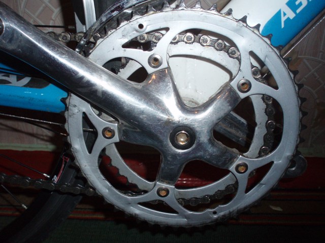 P1010011.JPG