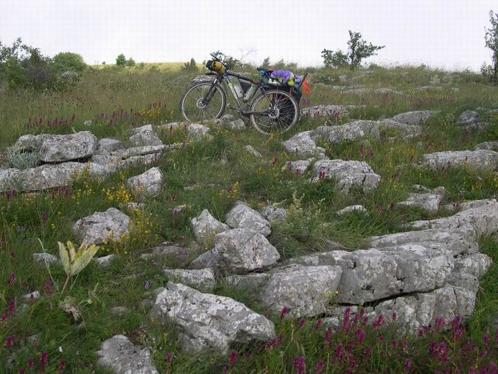 d06_07_.JPG