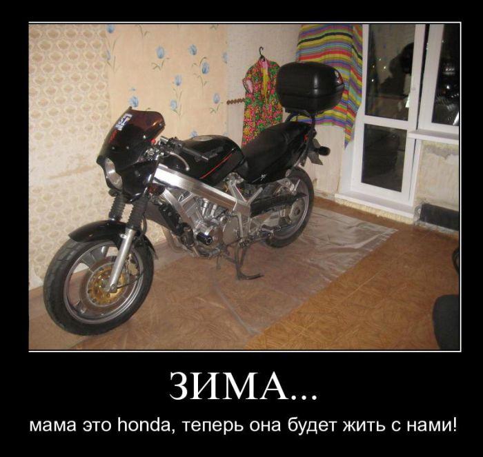 где хранят мотыки.jpg