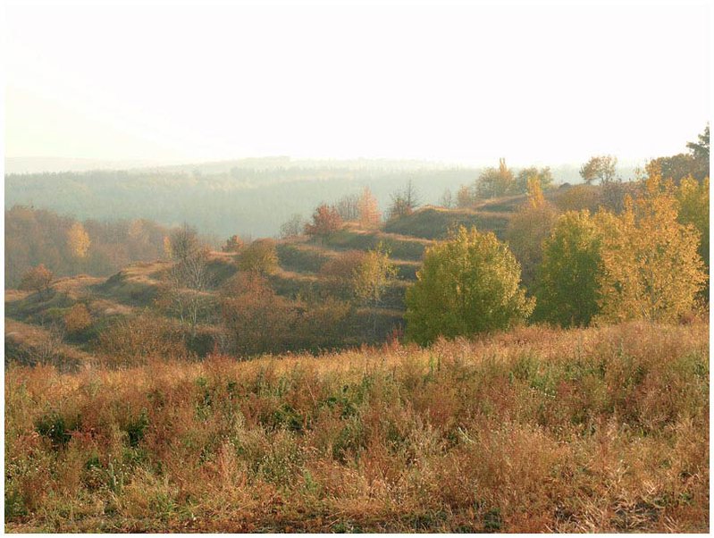 p1_1.jpg