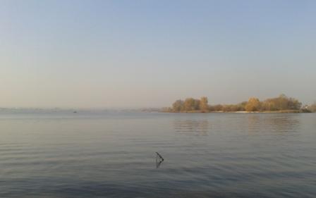 2011-11-05 11.38.38.jpg
