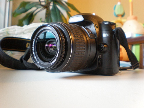 PC1900191.jpg