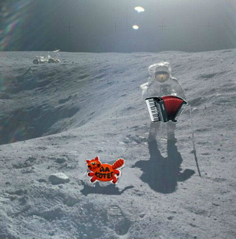 kotyaramoon1+1.jpg