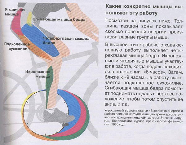 047_G.jpg