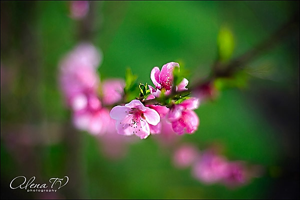 IMG_8941_600.jpg