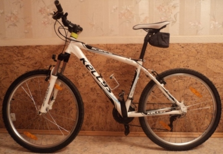 DSC02451 - копия.JPG