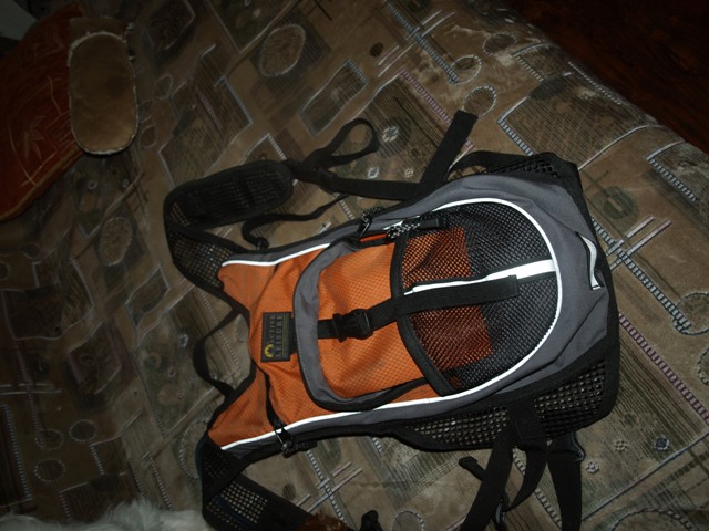 P3110069.JPG