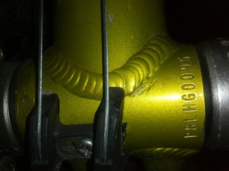 IMG251.jpg