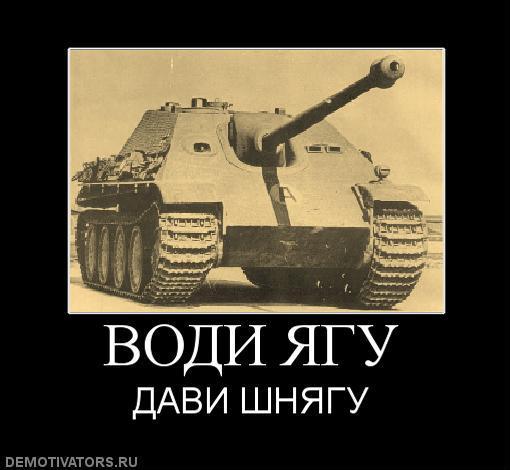4d88a4f6110fe.jpg
