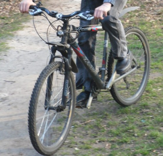 SAM_4812.JPG