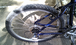IMAG1187212121.jpg